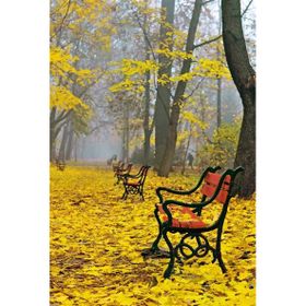 Tablolife Sarı Yapraklar, Boş Banklar 60x90 cm Kanvas Tablo