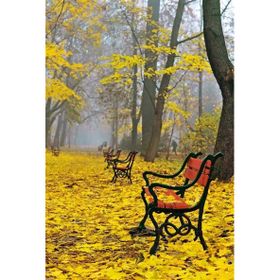 Tablolife Sarı Yapraklar, Boş Banklar 60x90 cm Kanvas Tablo