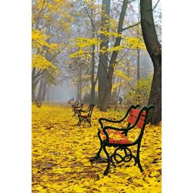 Tablolife Sarı Yapraklar, Boş Banklar 60x90 cm Kanvas Tablo
