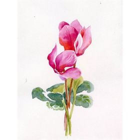 Tablolife Siklamen 60x90 cm Kanvas Tablo
