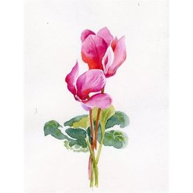 Tablolife Siklamen 60x90 cm Kanvas Tablo