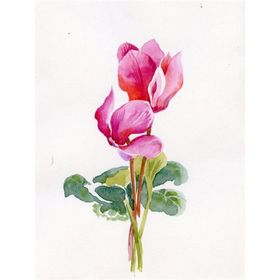 Tablolife Siklamen 60x90 cm Kanvas Tablo