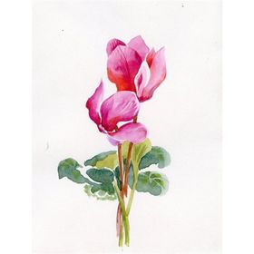 Tablolife Siklamen 60x90 cm Kanvas Tablo