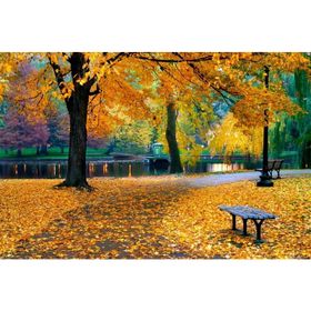 Tablolife Sonbaharda Park 35x50 cm Kanvas Tablo