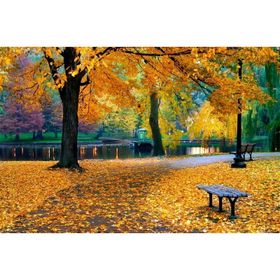 Tablolife Sonbaharda Park 35x50 cm Kanvas Tablo