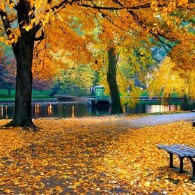 Tablolife Sonbaharda Park 35x50 cm Kanvas Tablo