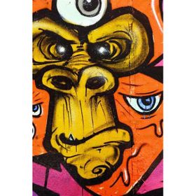 Tablolife Soyut Şempanze 60 x 90 cm Kanvas Tablo