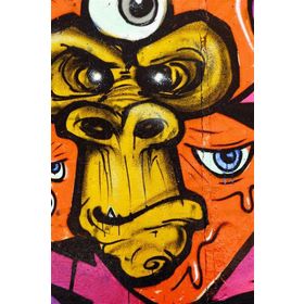 Tablolife Soyut Şempanze 60 x 90 cm Kanvas Tablo