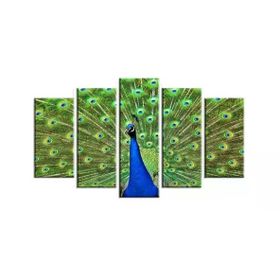 Tablolife Tavus Kuşu 5 Parçalı 60x100 cm Kanvas Tablo