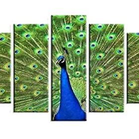 Tablolife Tavus Kuşu 5 Parçalı 60x100 cm Kanvas Tablo