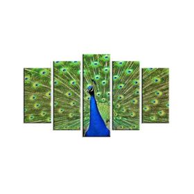 Tablolife Tavus Kuşu 5 Parçalı 60x100 cm Kanvas Tablo