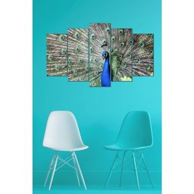 Tablolife Tavus Kuşu 5 Parçalı 60x100 cm Kanvas Tablo