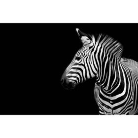 Tablolife Utangaç Zebra 35 x 50 cm Kanvas Tablo