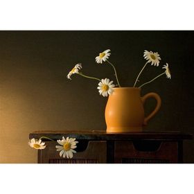 Tablolife Vazoda Papatyalar 35 x 50 cm Kanvas Tablo