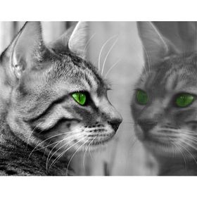 Tablolife Yeşil Gözlü Kedi 35 x 50 cm Kanvas Tablo
