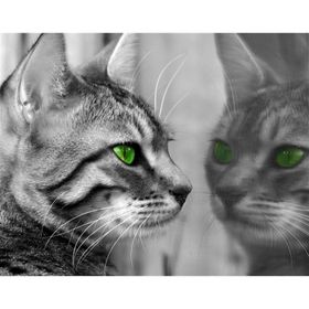 Tablolife Yeşil Gözlü Kedi 35 x 50 cm Kanvas Tablo