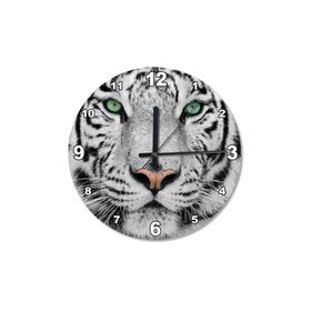 Tablomega SAAT-1171-30 Sheva Alomar Çocuk Odası 30 cm Çap Duvar Saati
