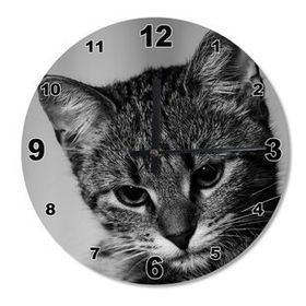 Tablomega Sevimli Kedi Ahşap Duvar Saati Duvar Saati
