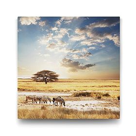 Tabloshop Afrika Zebra 50x50 cm Tablo