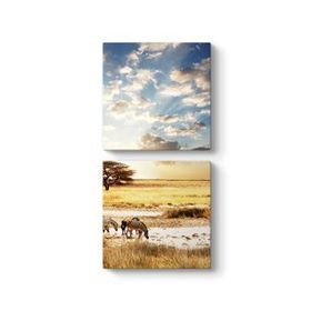 Tabloshop Afrika Zebra 60x60 cm Tablo