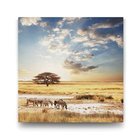 Tabloshop Afrika Zebra 80x80 cm Tablo