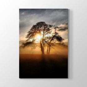 Tabloshop Ağaç ve Güneş 100x140 cm Tablo