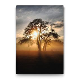 Tabloshop Ağaç ve Güneş 60x90 cm Tablo