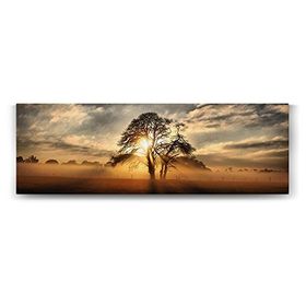 Tabloshop Ağaç ve Sis 90x30 cm Tablo