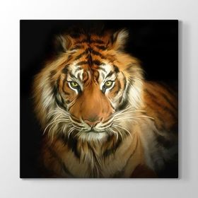 Tabloshop Asil Kaplan Yağlıboya 50x50 cm Tablo