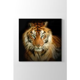 Tabloshop Asil Kaplan Yağlıboya 50x50 cm Tablo