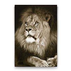 Tabloshop Aslan 70x100 cm Tablo
