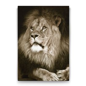 Tabloshop Aslan 80x125 cm Tablo