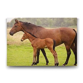 Tabloshop At ve Yavrusu 125x80 cm Tablo