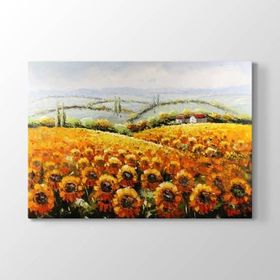 Tabloshop Ayçiçekleri Duvar 140x100 cm Tablo