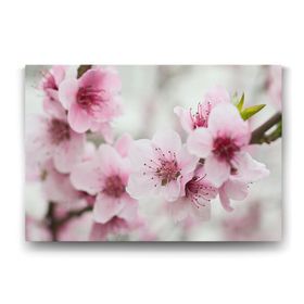 Tabloshop Badem Ağacı 140x100 cm Tablo