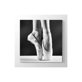 Tabloshop Balet Ayakkabısı 40x40 cm Tablo