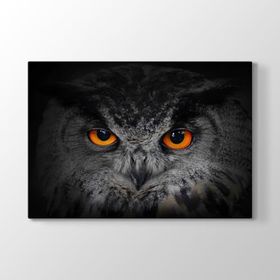 Tabloshop Baykuş Gözleri 125x80 cm Tablo