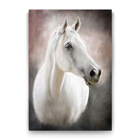 Tabloshop Beyaz At 40x60 cm Tablo