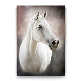 Tabloshop Beyaz At 40x60 cm Tablo