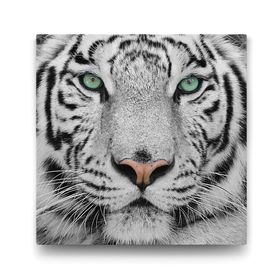 Tabloshop Beyaz Kaplan 40x40 cm Tablo