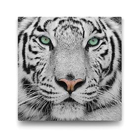Tabloshop Beyaz Kaplan 40x40 cm Tablo
