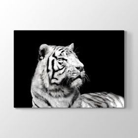 Tabloshop Beyaz Kaplan Profil 125x80 cm Tablo