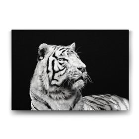 Tabloshop Beyaz Kaplan Profil 45x30 cm Tablo