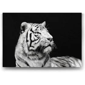 Tabloshop Beyaz Kaplan Profil 60x40 cm Tablo