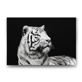 Tabloshop Beyaz Kaplan Profil 75x50 cm Tablo