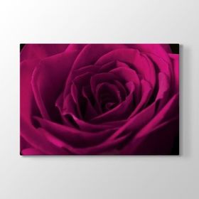 Tabloshop Bordo Gül 140x100 cm Tablo