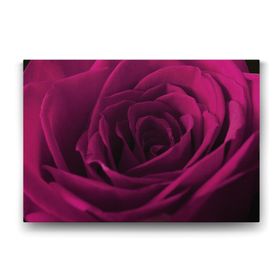 Tabloshop Bordo Gül 140x100 cm Tablo