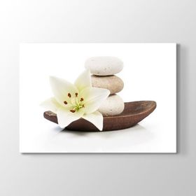 Tabloshop Çakıl Taşları ve Narin Çiçek 75x50 cm Tablo