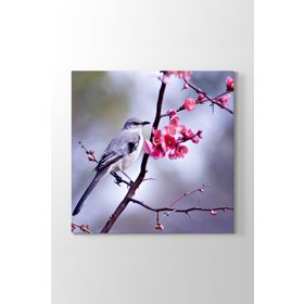 Tabloshop Çiçek ve Kuş 50x50 cm Tablo