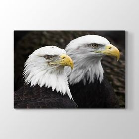 Tabloshop Çift Başlı Kartal 140x100 cm Tablosu